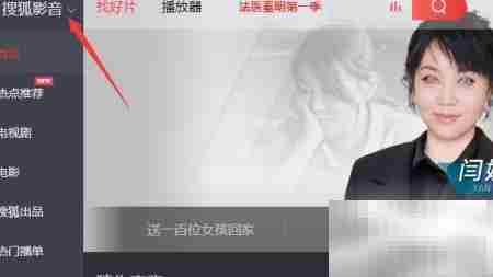 关闭搜狐影音Matroska关联