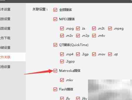 关闭搜狐影音Matroska关联