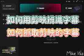 剪映如何去掉原字幕