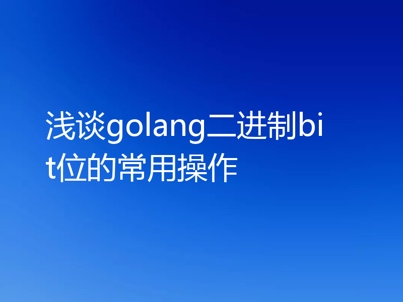 浅谈golang二进制bit位的常用操作