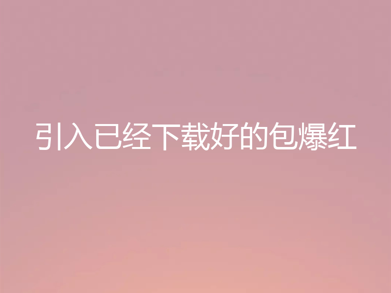 引入已经下载好的包爆红