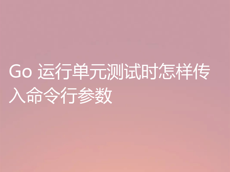 Go 运行单元测试时怎样传入命令行参数