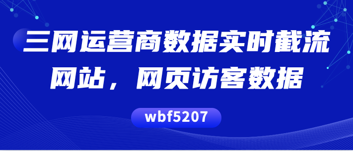 运营商大数据之三网实时截流网站访客数据