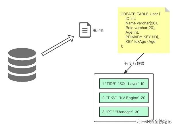 简单了解 TiDB 架构