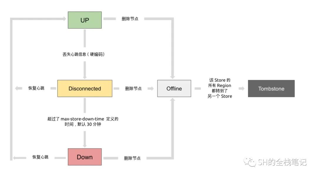 简单了解 TiDB 架构