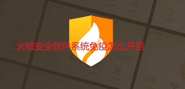 火绒安全软件系统免疫怎么开启