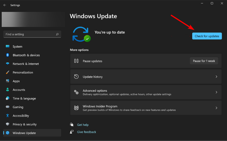 check-update-windows-11-defender