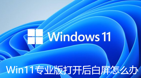 Win11专业版打开后白屏怎么办