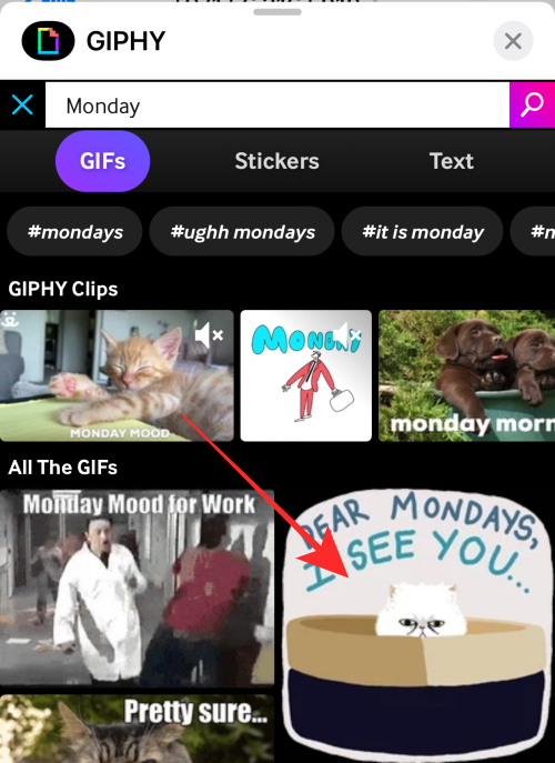 add-giphy-11