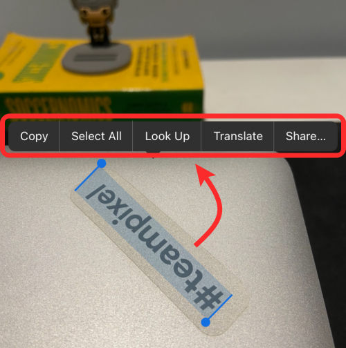 iOS 15 实时文本不起作用？如何修复和扫描图片中的文本