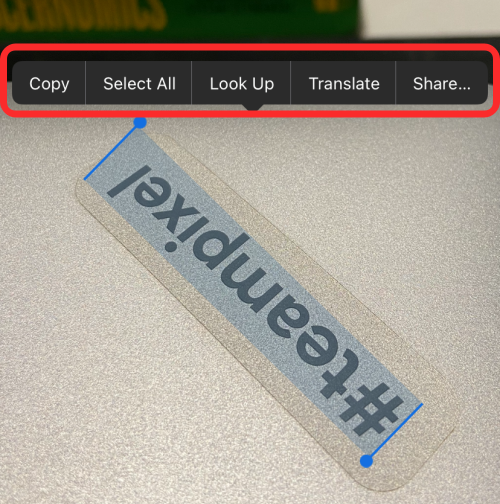 iOS 15 实时文本不起作用？如何修复和扫描图片中的文本