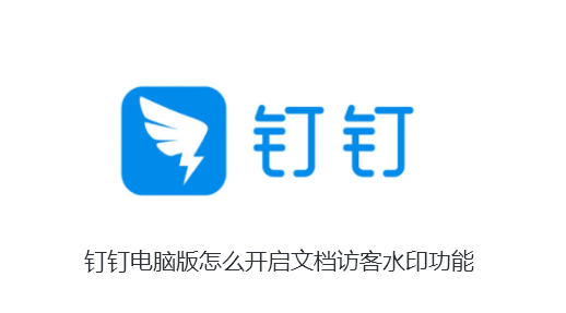 钉钉电脑版怎么开启文档访客水印功能