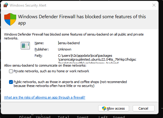 Allow-Sensu-backend-in-Windows-firewall