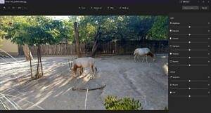 WIndows-11-photo-editor-ajustments-tab-300x161-1