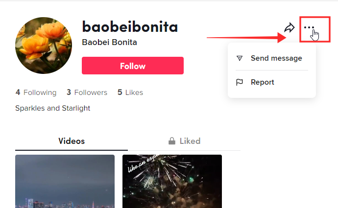 tiktok-block-web