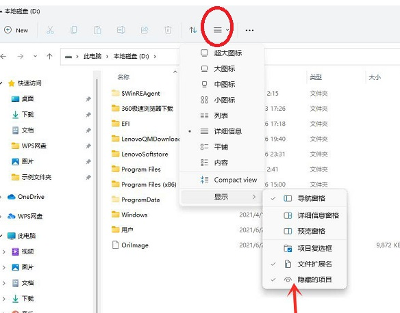 Win11系统怎么显示隐藏文件夹