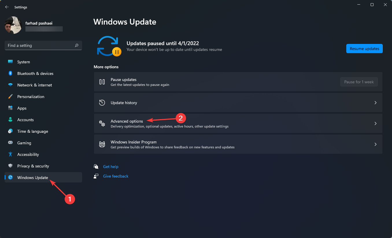 Advanced-options-in-updates