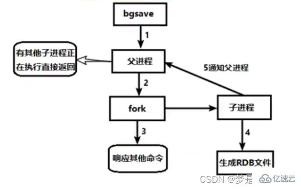 如何掌握Redis持久化RDB和AOF？