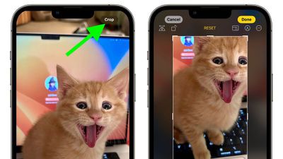 iOS 17：如何在照片中使用一键裁剪