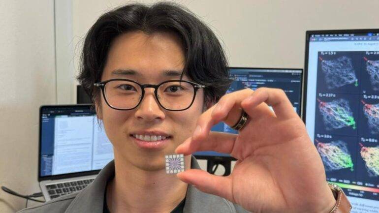 新突破：科学家研发类脑纳米线网络，让AI模仿人类实时学习和记忆