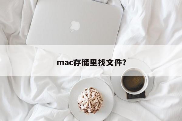 mac存储里找文件？