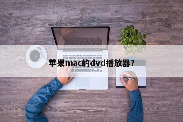 苹果mac的dvd播放器？