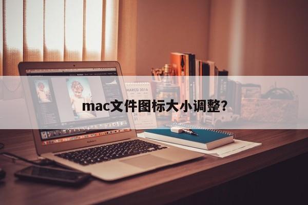 mac文件图标大小调整？