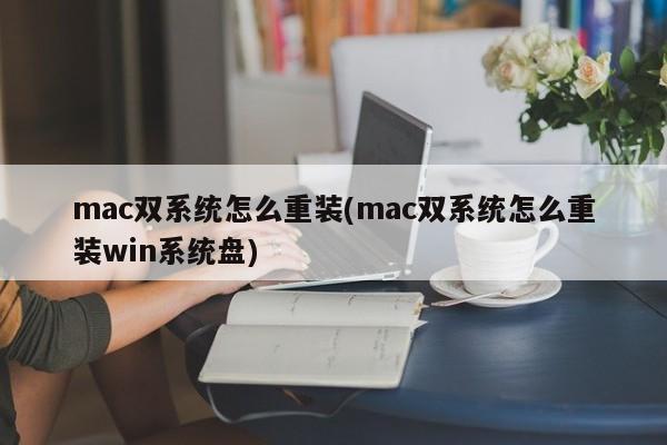 mac双系统怎么重装(mac双系统怎么重装win系统盘)