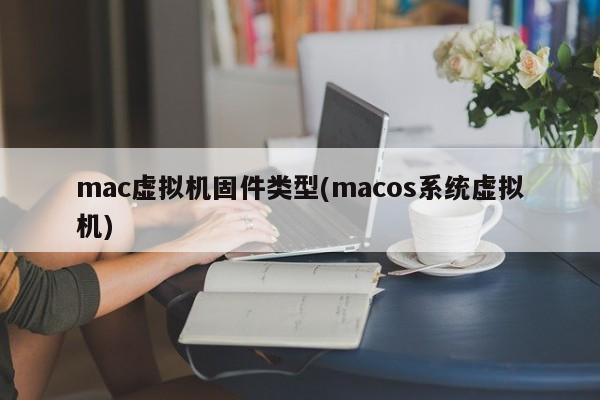 mac虚拟机固件类型(macos系统虚拟机)