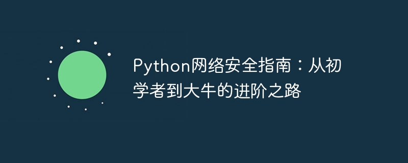 Python网络安全指南：从初学者到大牛的进阶之路