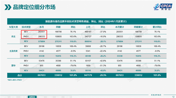 自主PHEV销量飙升，问界理想领跑市场——2024年1月新能源汽车市场分析报告