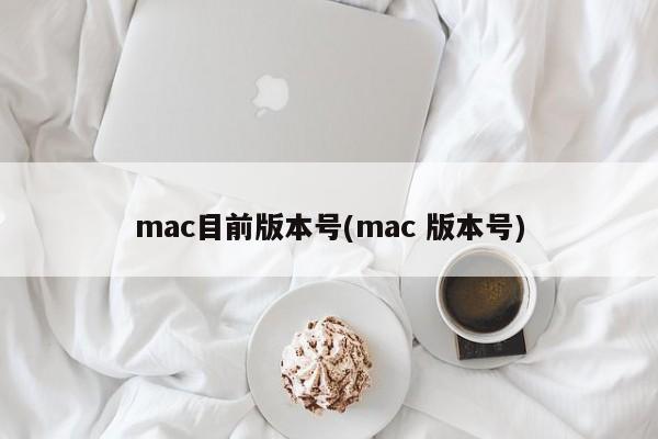 mac目前版本号(mac 版本号)