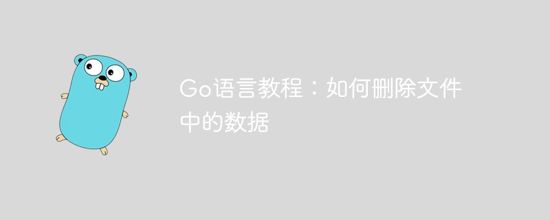 Go语言教程：如何删除文件中的数据