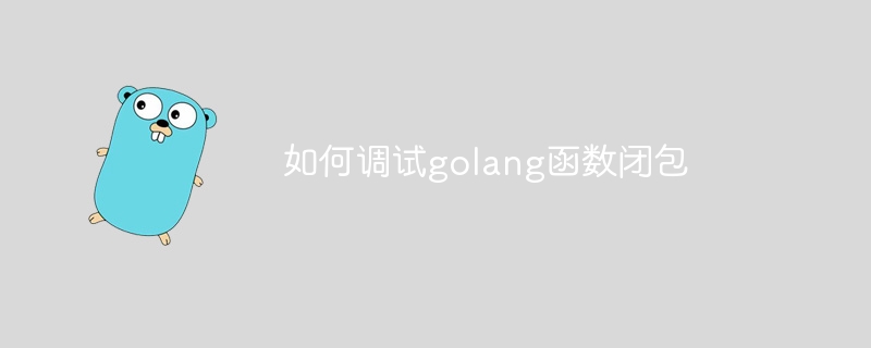 如何调试golang函数闭包