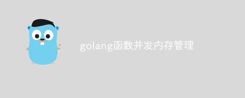 golang函数并发内存管理