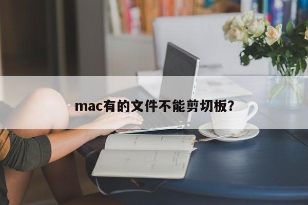 mac有的文件不能剪切板？