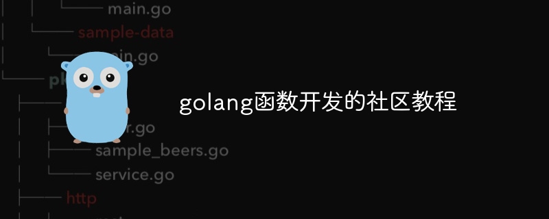 golang函数开发的社区教程