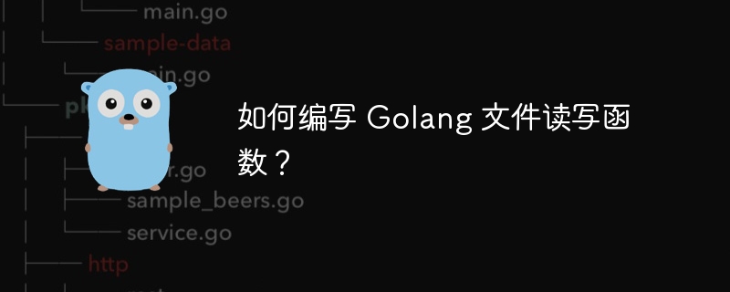 如何编写 Golang 文件读写函数？