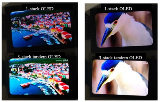 和辉光电展示三层串联 Tandem OLED 面板：用于穿戴产品、6000 尼特亮度