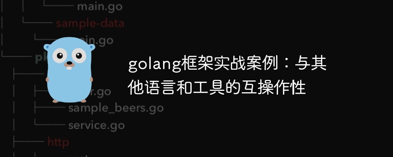 golang框架实战案例：与其他语言和工具的互操作性