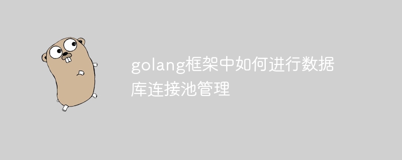 golang框架中如何进行数据库连接池管理