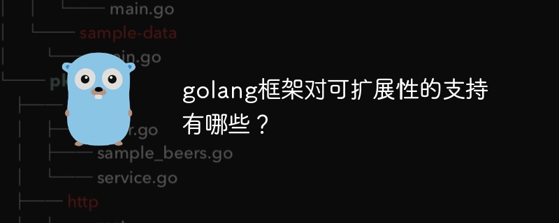 golang框架对可扩展性的支持有哪些？