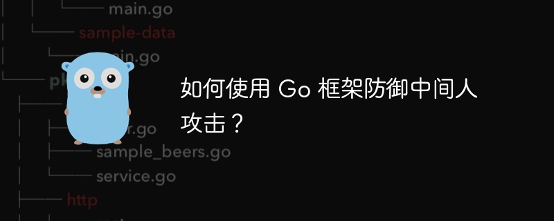 如何使用 Go 框架防御中间人攻击？