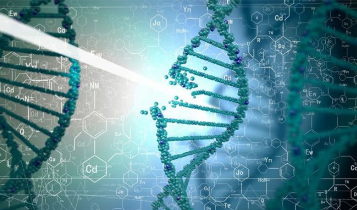 整合多组学数据，华大基因团队图神经网络模型SpatialGlue登Nature子刊