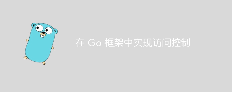 在 Go 框架中实现访问控制