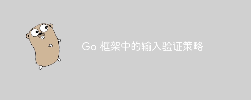 Go 框架中的输入验证策略