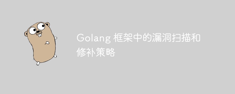 Golang 框架中的漏洞扫描和修补策略