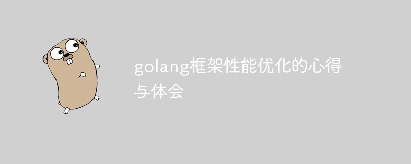 golang框架性能优化的心得与体会