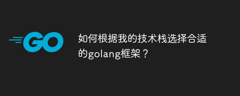 如何根据我的技术栈选择合适的golang框架？