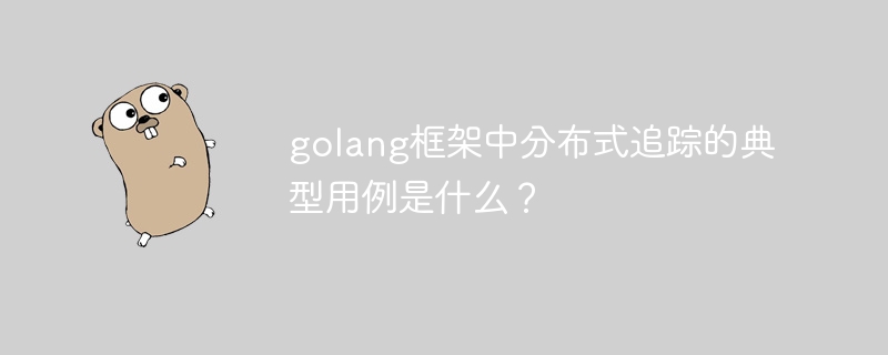 golang框架中分布式追踪的典型用例是什么？